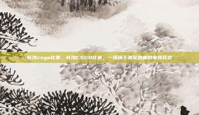 长沙csgo比赛,长沙CSGO比赛,一场属于湘军热血的电竞狂欢