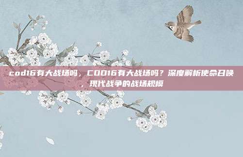 cod16有大战场吗,COD16有大战场吗?深度解析使命召唤,现代战争的战场规模
