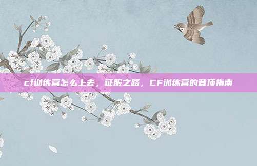 cf训练营怎么上去,征服之路,CF训练营的登顶指南