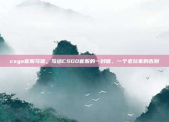 csgo客服写信,写给CSGO客服的一封信,一个老玩家的告别