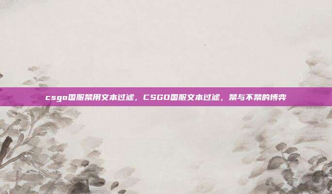 csgo国服禁用文本过滤,CSGO国服文本过滤,禁与不禁的博弈