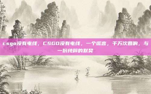 csgo没有电线,CSGO没有电线,一个谎言,千万次回响,与一份纯粹的默契
