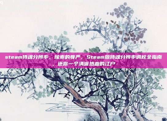 steam侍魂分辨率,像素的尊严,Steam版侍魂分辨率调校全指南,还你一个清晰热血的江户