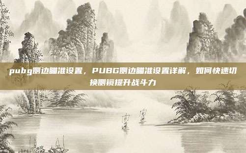 pubg侧边瞄准设置,PUBG侧边瞄准设置详解,如何快速切换侧镜提升战斗力