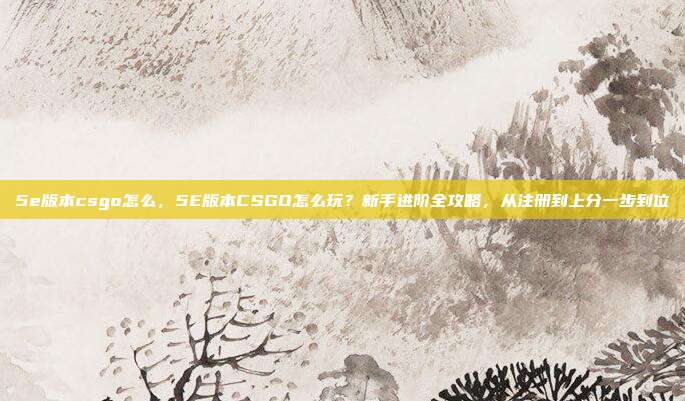 5e版本csgo怎么,5E版本CSGO怎么玩?新手进阶全攻略,从注册到上分一步到位