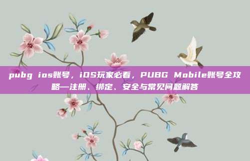 pubg ios账号,iOS玩家必看,PUBG Mobile账号全攻略—注册、绑定、安全与常见问题解答