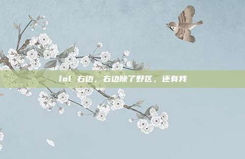 lol 右边,右边除了野区,还有我