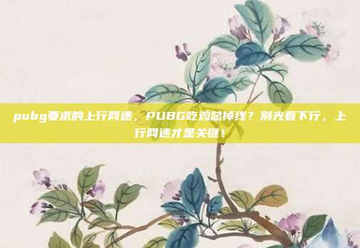 pubg要求的上行网速,PUBG吃鸡总掉线?别光看下行,上行网速才是关键!