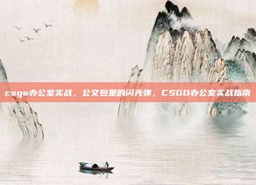 csgo办公室实战,公文包里的闪光弹,CSGO办公室实战指南