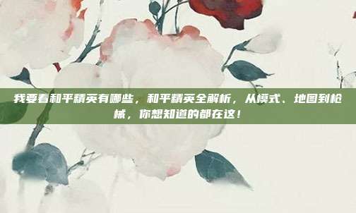 我要看和平精英有哪些,和平精英全解析,从模式、地图到枪械,你想知道的都在这!