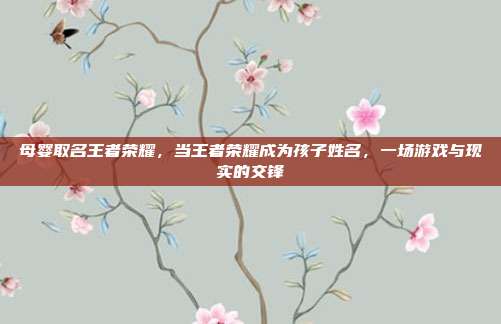 母婴取名王者荣耀,当王者荣耀成为孩子姓名,一场游戏与现实的交锋