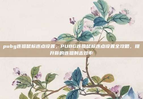 pubg连狙鼠标连点设置,PUBG连狙鼠标连点设置全攻略,提升你的连狙射击效率