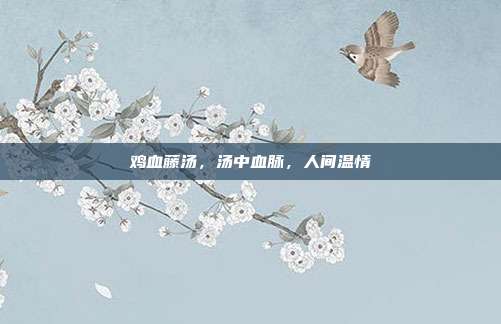 鸡血藤汤,汤中血脉,人间温情