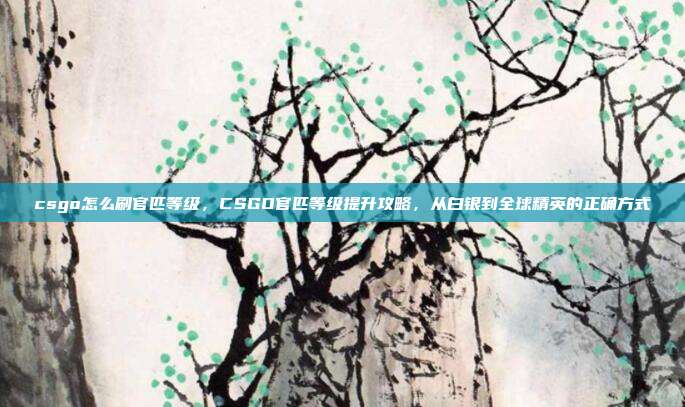 csgo怎么刷官匹等级,CSGO官匹等级提升攻略,从白银到全球精英的正确方式