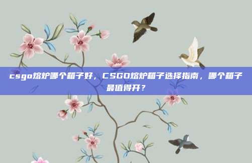 csgo熔炉哪个箱子好,CSGO熔炉箱子选择指南,哪个箱子最值得开?