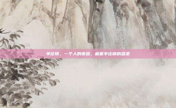 羊庄镇,一个人的夜路,藏着羊庄镇的温柔