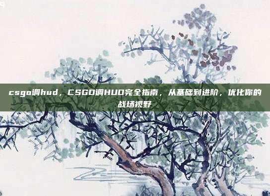csgo调hud,CSGO调HUD完全指南,从基础到进阶,优化你的战场视野
