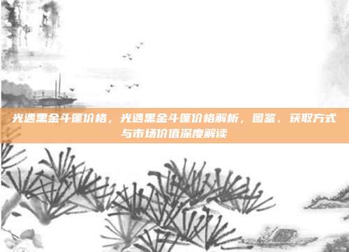 光遇黑金斗篷价格,光遇黑金斗篷价格解析,图鉴、获取方式与市场价值深度解读