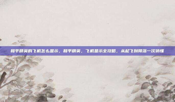 和平精英的飞机怎么显示,和平精英,飞机显示全攻略,从起飞到降落一次搞懂