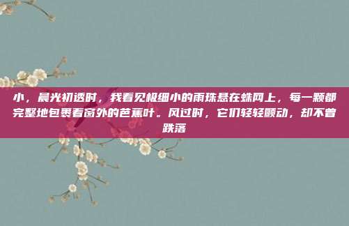 小,晨光初透时,我看见极细小的雨珠悬在蛛网上,每一颗都完整地包裹着窗外的芭蕉叶。风过时,它们轻轻颤动,却不曾跌落