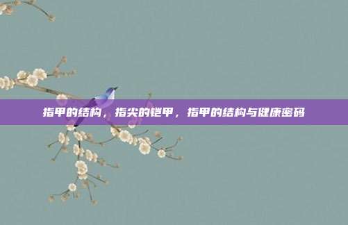指甲的结构,指尖的铠甲,指甲的结构与健康密码