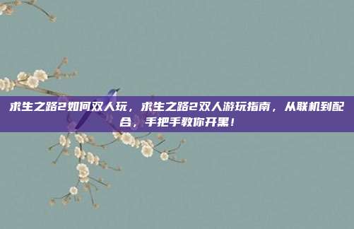 求生之路2如何双人玩,求生之路2双人游玩指南,从联机到配合,手把手教你开黑!