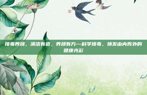 排毒养颜,清洁有道,养颜有方—科学排毒,焕发由内而外的健康光彩