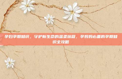 孕妇孕期知识,守护新生命的温柔旅程,孕妈妈必备的孕期知识全攻略