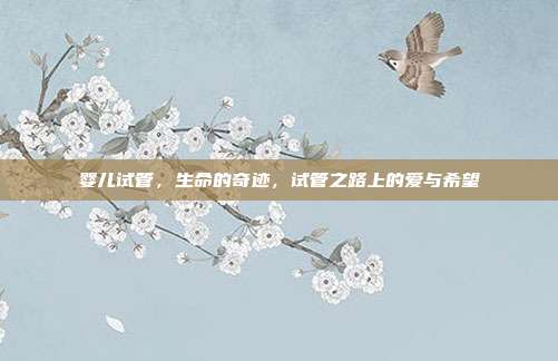 婴儿试管,生命的奇迹,试管之路上的爱与希望