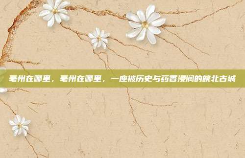亳州在哪里,亳州在哪里,一座被历史与药香浸润的皖北古城