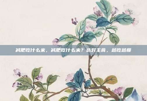 减肥吃什么米,减肥吃什么米?选对主食,越吃越瘦