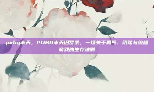 pubg丰天,PUBG丰天旧梦录,一场关于勇气、阴谋与终极游戏的生存法则