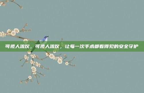 可视人流仪,可视人流仪,让每一次手术都看得见的安全守护