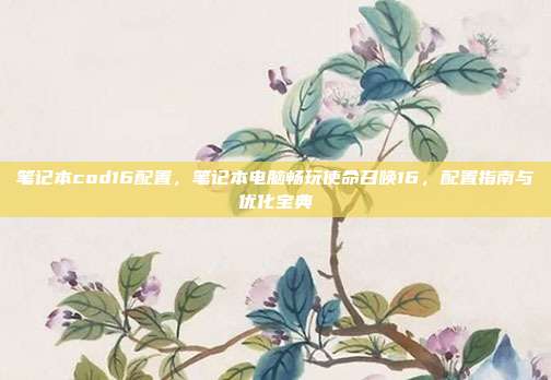 笔记本cod16配置,笔记本电脑畅玩使命召唤16,配置指南与优化宝典