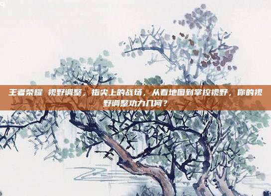 王者荣耀 视野调整,指尖上的战场,从看地图到掌控视野,你的视野调整功力几何?