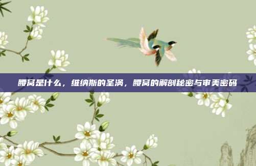 腰窝是什么,维纳斯的圣涡,腰窝的解剖秘密与审美密码