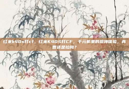红米k40s打cf,红米K40S打CF,千元机里的狙神体验,真香还是拉胯?