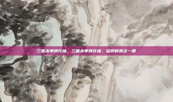 三国杀单挑许褚,三国杀单挑许褚,猛将的孤注一掷