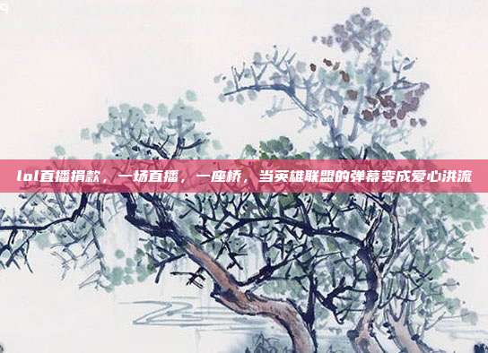 lol直播捐款,一场直播,一座桥,当英雄联盟的弹幕变成爱心洪流