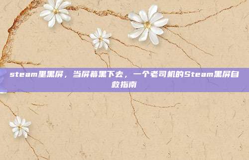 steam里黑屏,当屏幕黑下去,一个老司机的Steam黑屏自救指南