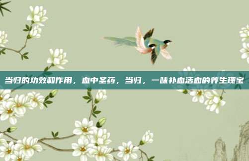 当归的功效和作用,血中圣药,当归,一味补血活血的养生瑰宝