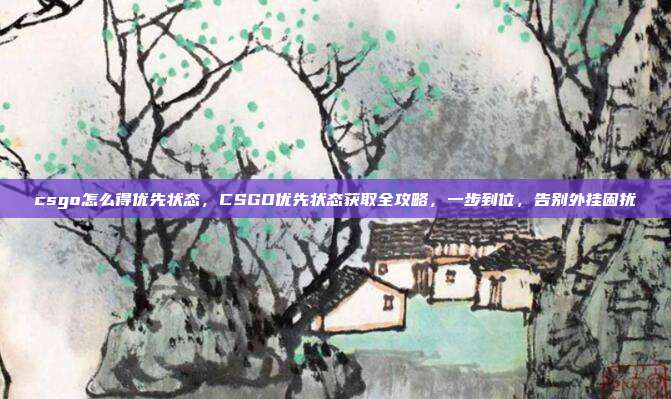 csgo怎么得优先状态,CSGO优先状态获取全攻略,一步到位,告别外挂困扰
