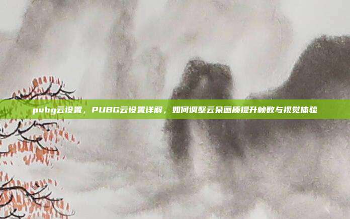 pubg云设置,PUBG云设置详解,如何调整云朵画质提升帧数与视觉体验