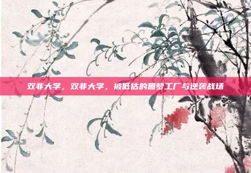 双非大学,双非大学,被低估的圆梦工厂与逆袭战场