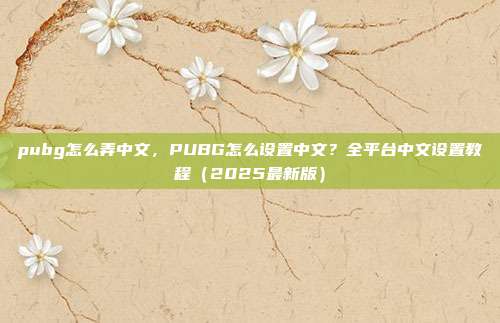 pubg怎么弄中文,PUBG怎么设置中文?全平台中文设置教程(2025最新版)