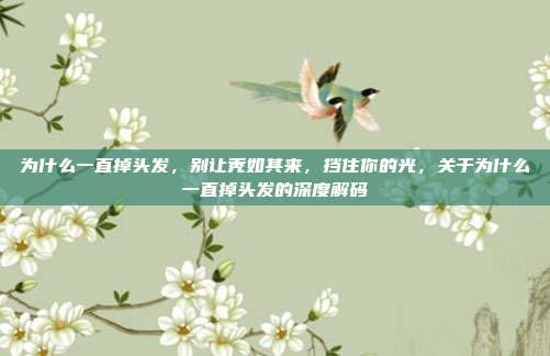 为什么一直掉头发,别让秃如其来,挡住你的光,关于为什么一直掉头发的深度解码