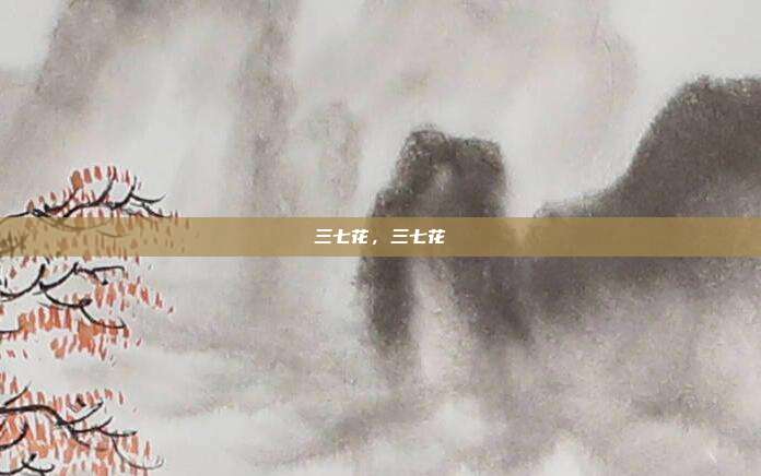 三七花,三七花