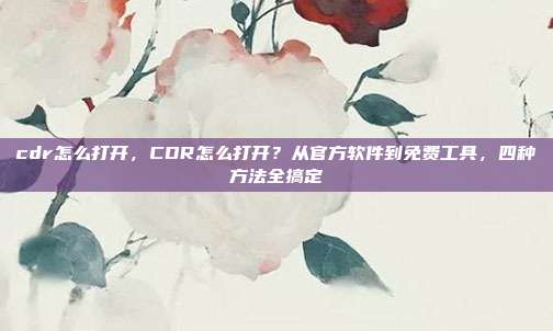 cdr怎么打开,CDR怎么打开?从官方软件到免费工具,四种方法全搞定