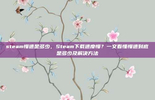 steam慢速是多少,Steam下载速度慢?一文看懂慢速到底是多少及解决方法