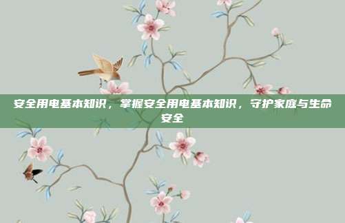 安全用电基本知识,掌握安全用电基本知识,守护家庭与生命安全